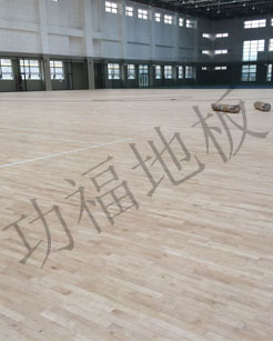 籃球場(chǎng)館