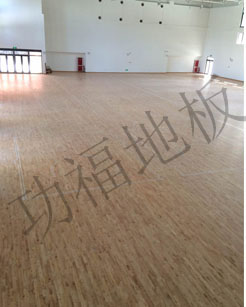 籃球場(chǎng)館